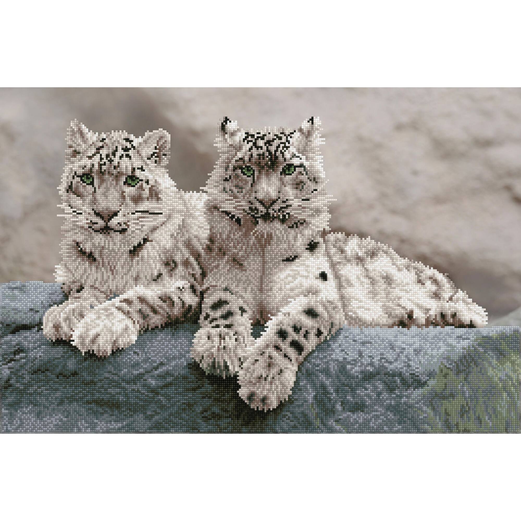 Diamond Dotz® Intermediate Snow Leopards Hemis National Park Diamond Painting Kit